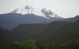 Nevado Antisana con sus glaciares sobre laderas de bosque andino